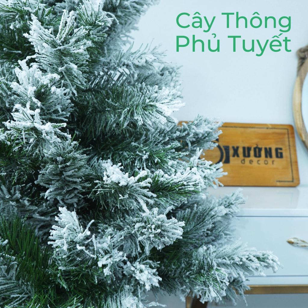 Cây Thông Noel Tán Dày Cao 2m1/1m8/1m5, 2 Loại Lá, Xanh Đầu Tròn, Hàng Loại Đẹp Tặng Kèm Phụ Kiện