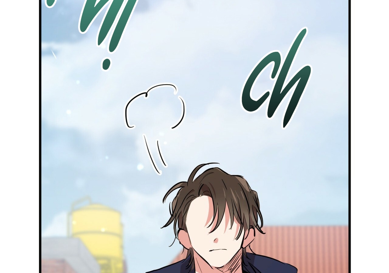 đàn thỏ của habibi chapter 19 123