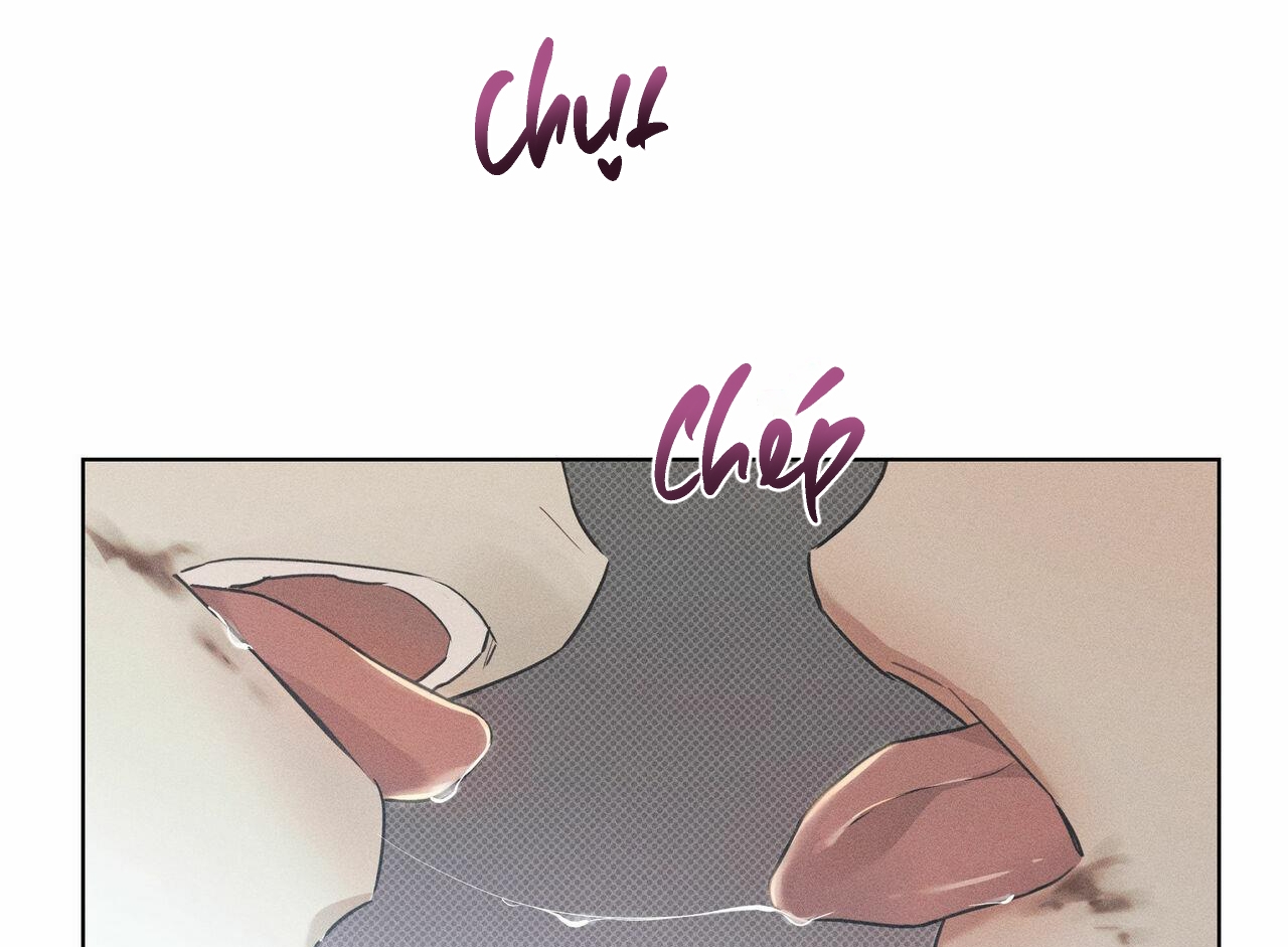 dải hợp âm trên đại dương xanh chapter 29 83