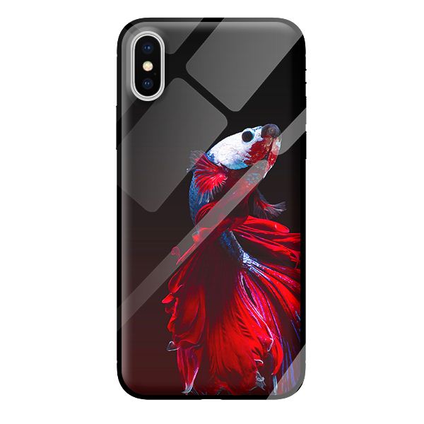 Ốp kính cường lực cho iPhone XS cá 24 - Hàng chính hãng