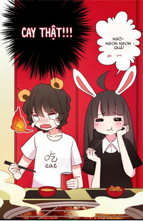 gấu nhỏ dư và thỏ thỏ hứa chapter 7 15