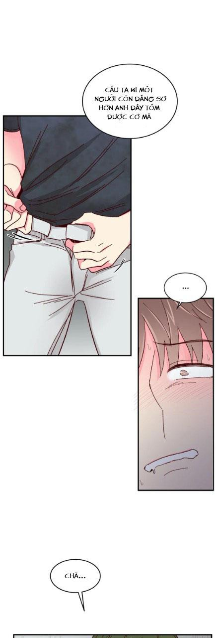 món tráng miệng của sếp tổng chapter 53 21