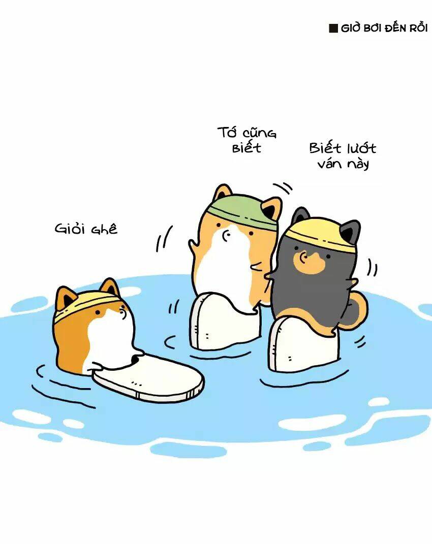 taru shiba chapter 2 9