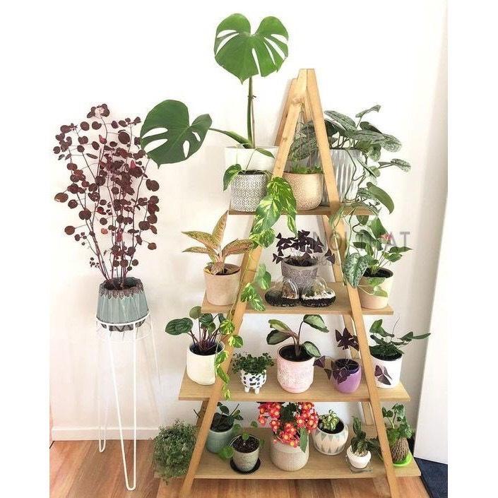 Kệ gỗ để cây cảnh hình tam giác nhiều tầng,Giá gỗ để đồ đa năng