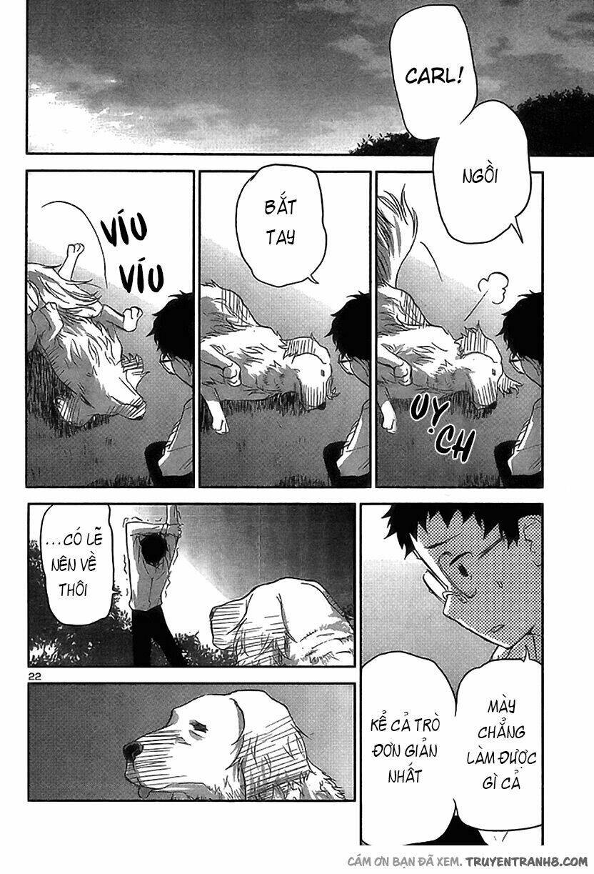 Tình Yêu Giáo Huấn chapter 13 24