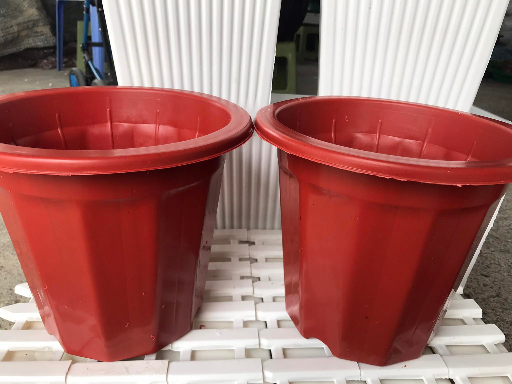 10 Chậu Nhựa Trồng Cây E230 - Chậu Nhựa Bền Đẹp Trồng Hoa Cây Cảnh
