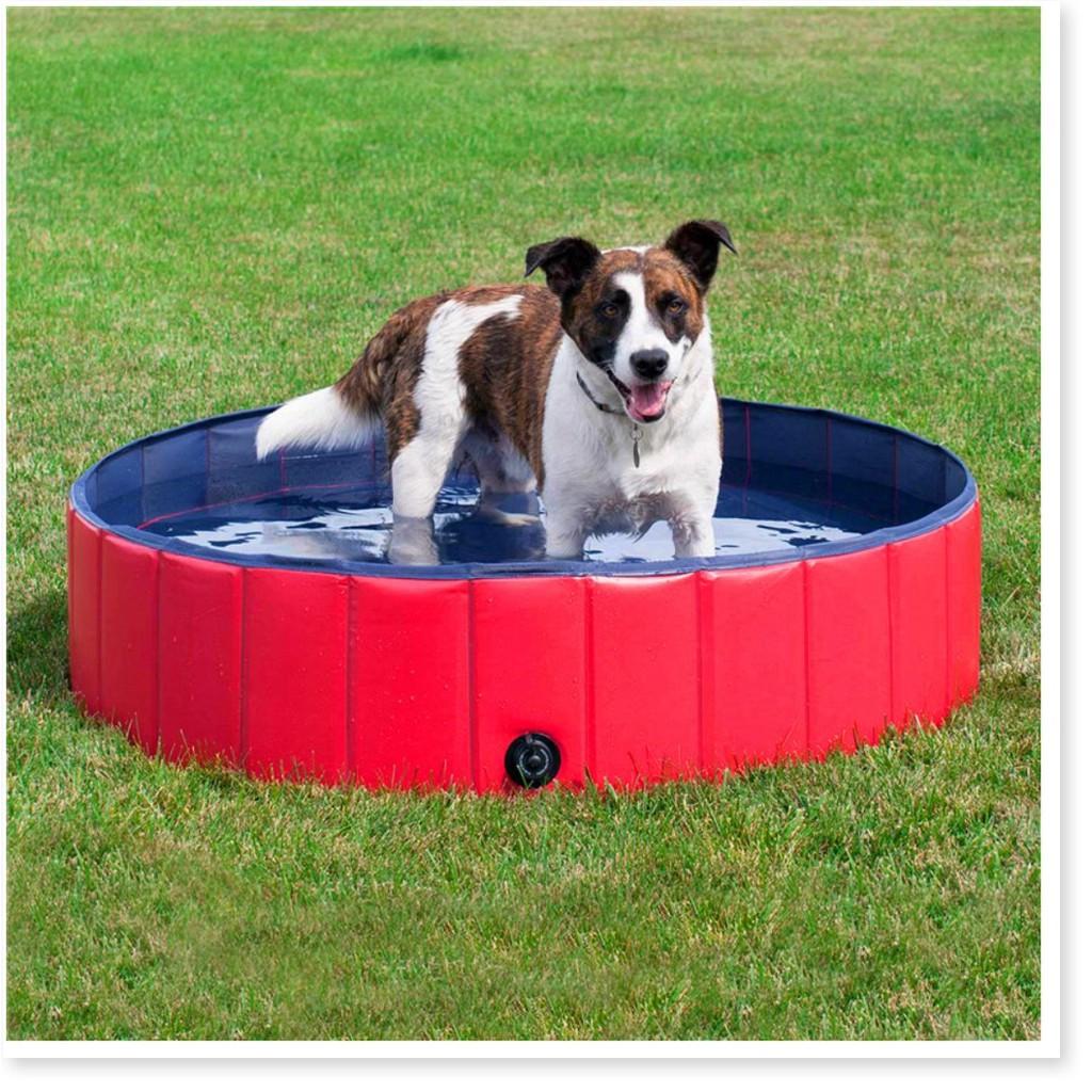 Hồ tắm Thú Cưng PORTABLE PAW POOL 80x20cm