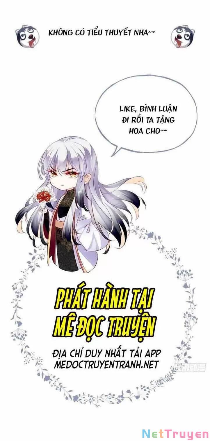 lại bị bệnh chiều chuộng quấn lấy chapter 15 40