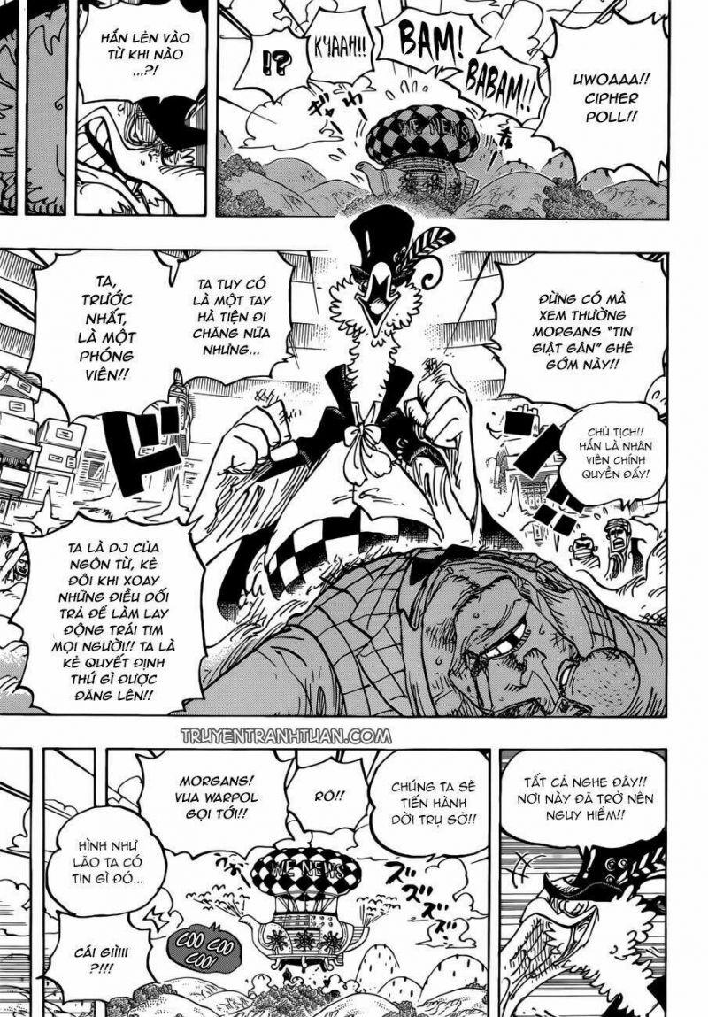 đảo hải tặc - one piece chapter 956 7