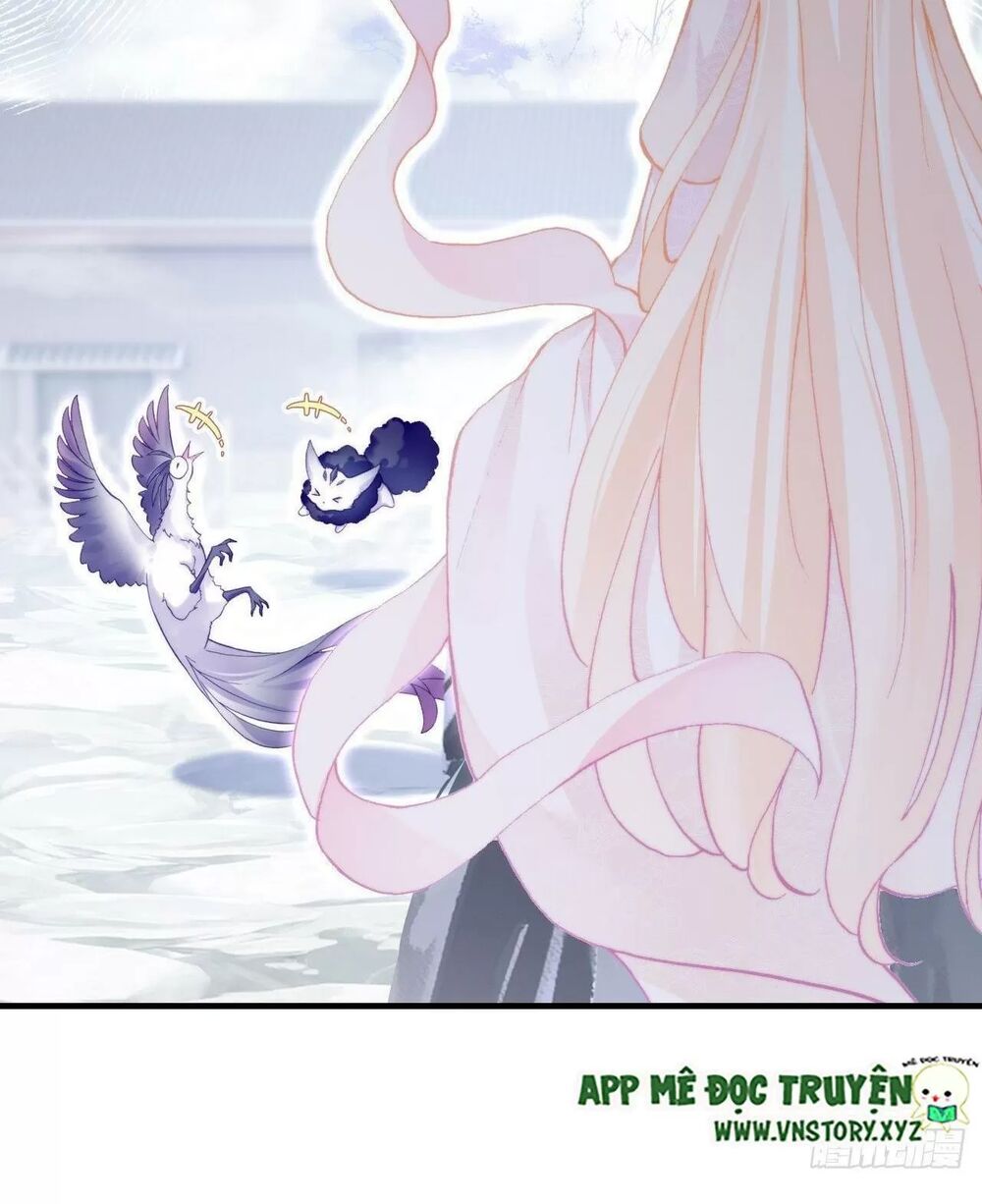 lại bị bệnh chiều chuộng quấn lấy chapter 72 31