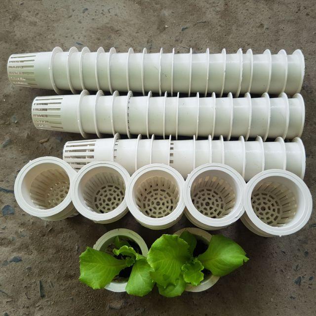 Combo 100 ro nhựa trắng 55 trồng thủy canh.