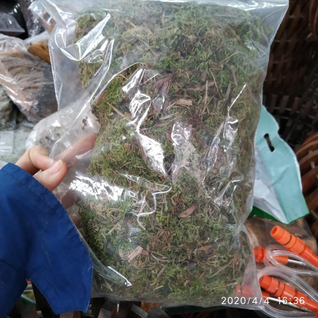Rêu rừng trồng lan đóng túi 200g