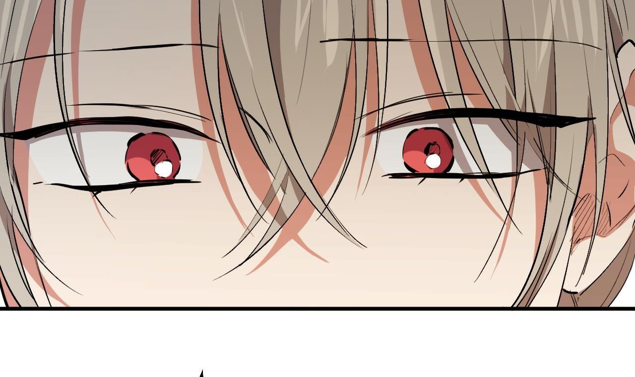 đàn thỏ của habibi chapter 48 49