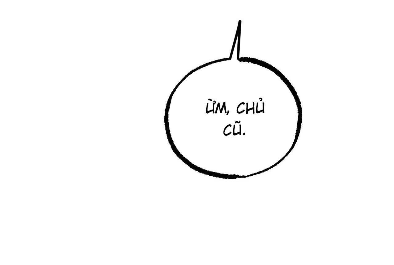 những chú thỏ của hapypy chapter 58 42