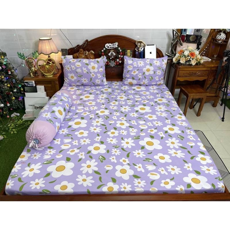Drap thun hàn quốc