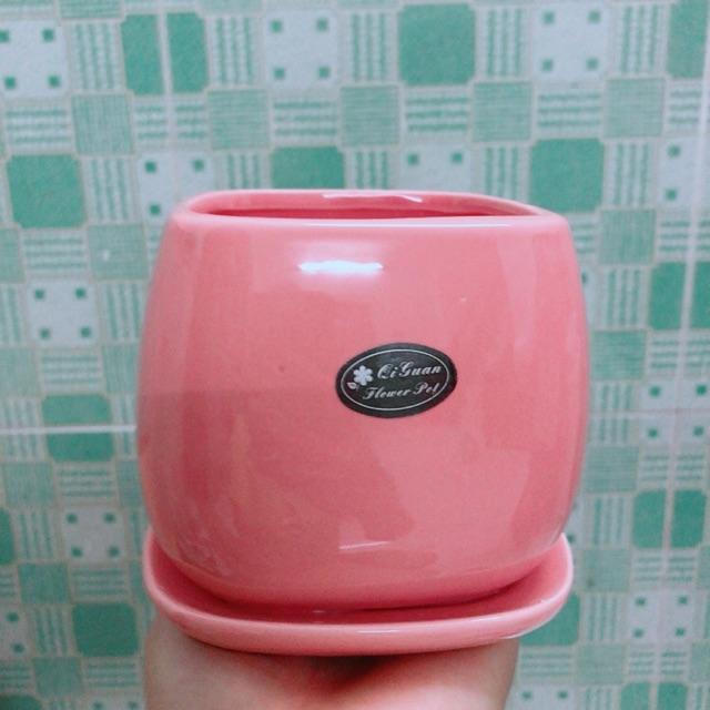 Chậu Trồng Cây