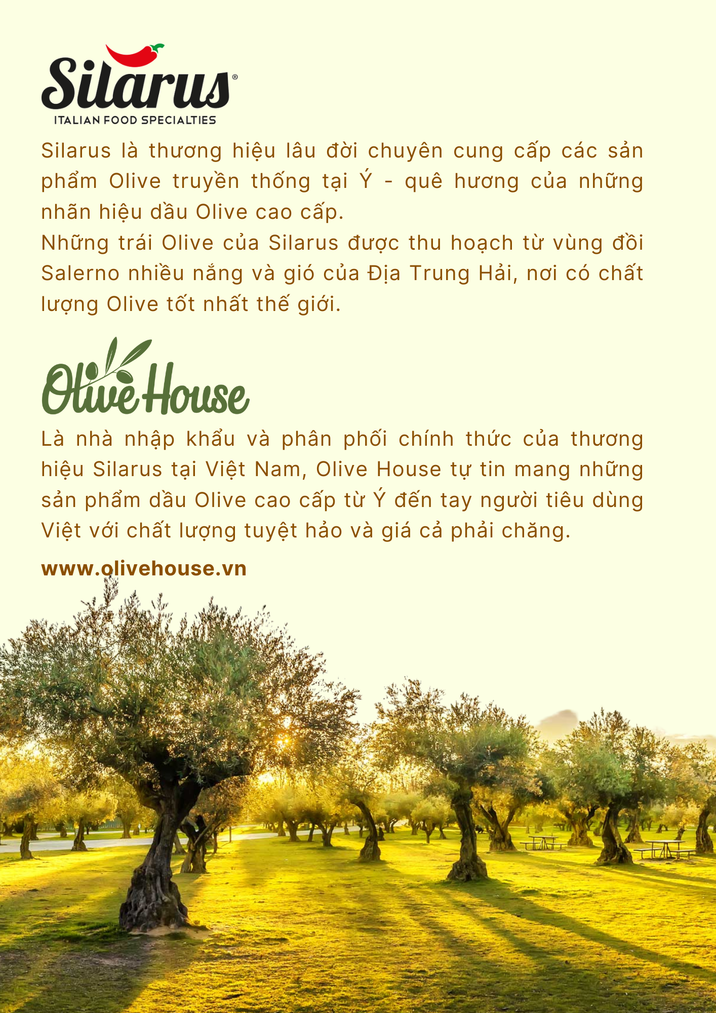 Dầu Olive Hữu cơ Nguyên chất Casa Lourio Nhập khẩu từ Ý