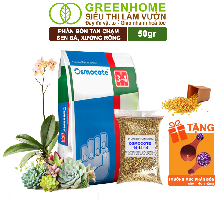 Phân Tan Chậm Greenhome, Oscomote, Bao 50gr, Chuyên Sen Đá, Hoa Hồng, Xương Rồng, Bonsai, GIúp Sen Cứng, Giữ Form, Lên Màu