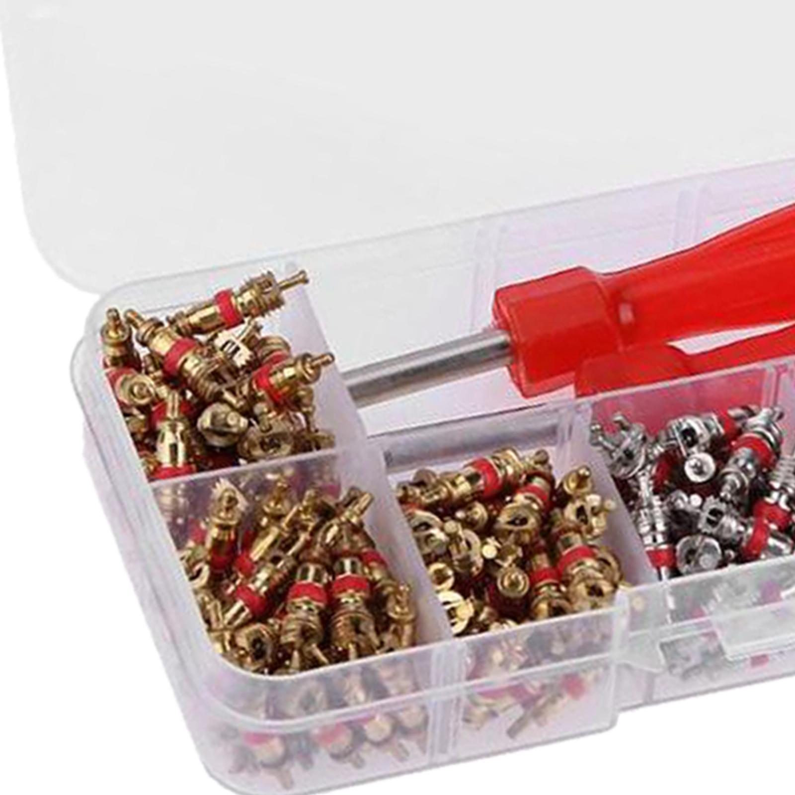 242x Core Removal Tool Set Tire Repair Tool Set for Truck Car