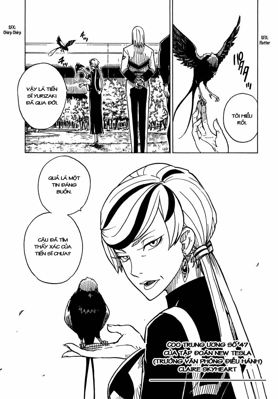 dimension w chapter 4 5