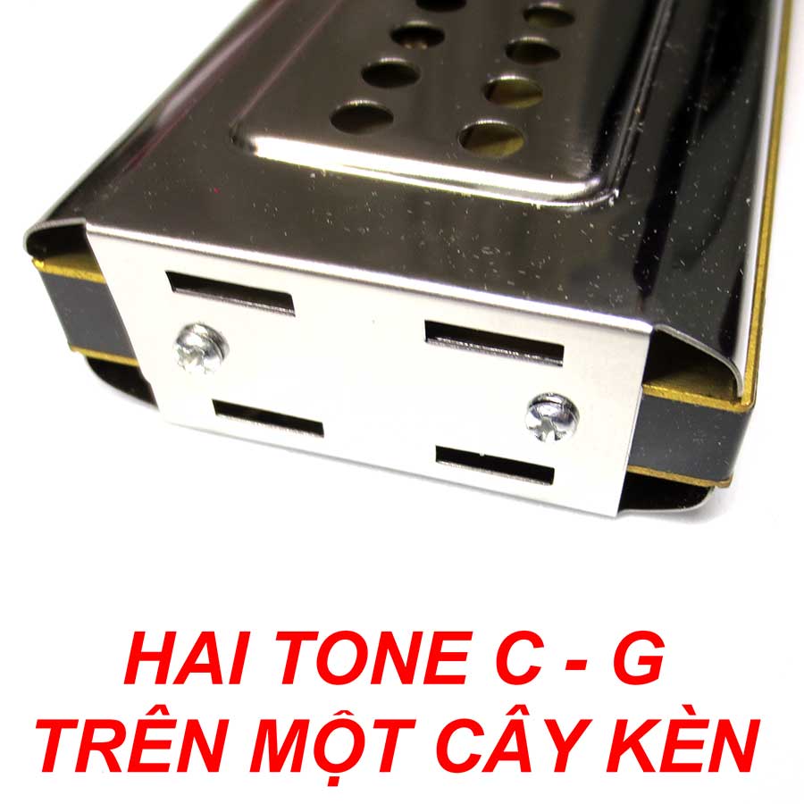 Kèn Harmonica Tremolo Swan Double Side 2 in 1 Hai Tone Kèn Trong Một Cây Key C G