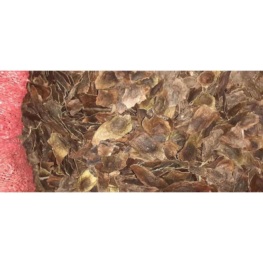 200gram sưa đỏ giống