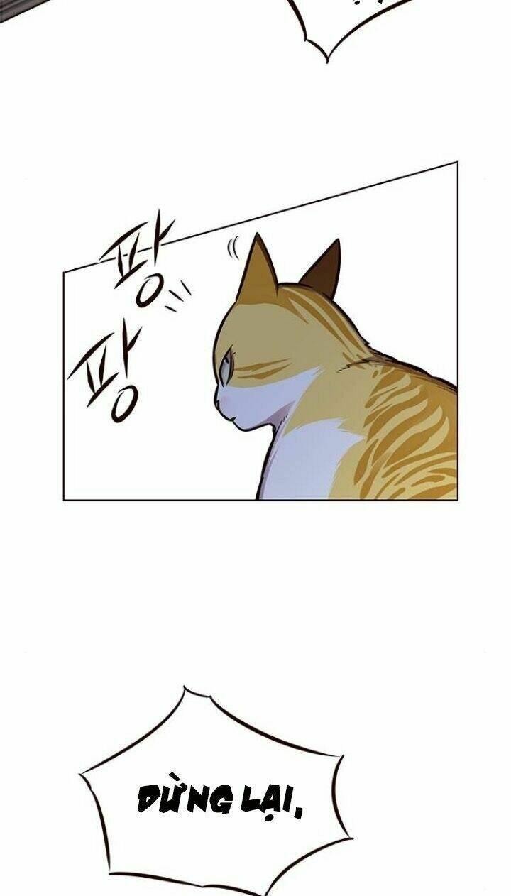 biến thân thành mèo chapter 124 9