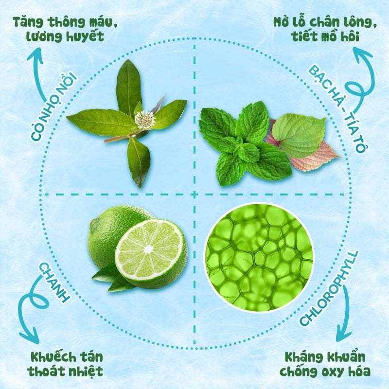 Khăn hạ sốt cho bé Dr Papie 0+ (25 khăn)