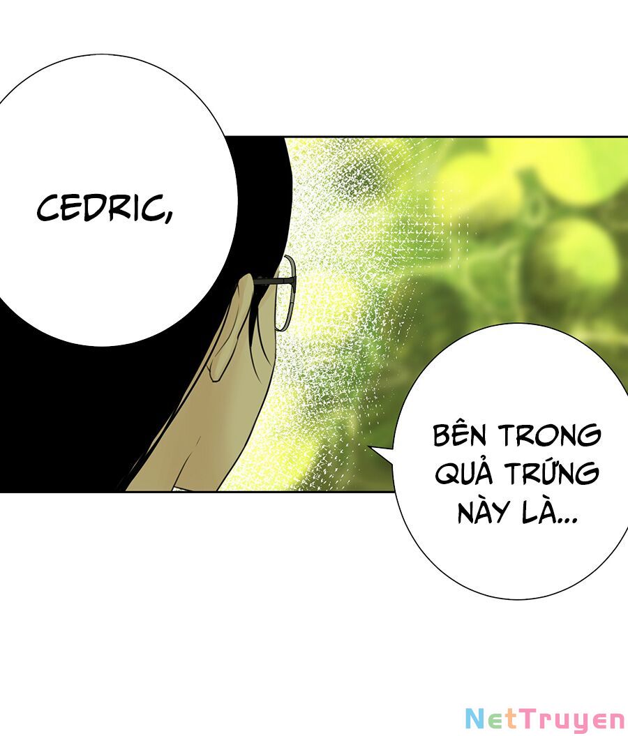 bản giáo chủ thân bất do kỷ chapter 37 21