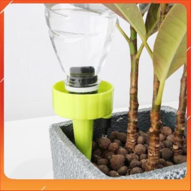 Set 12 que cắm tưới cây nhỏ giọt 206801