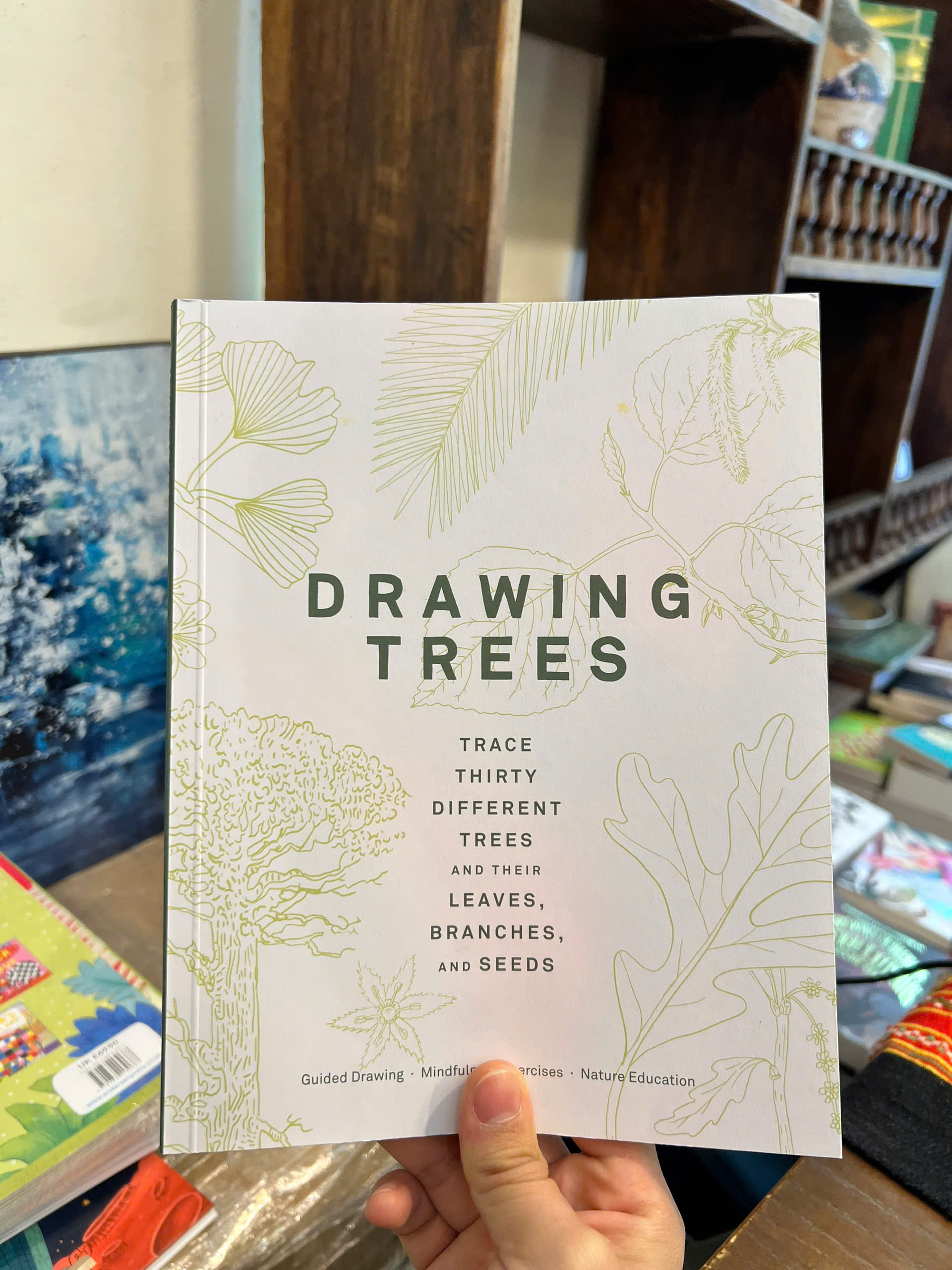 Sách - Drawing Trees: Trace 30 Different Trees &amp; Their Leaves, Branches, &amp; Seeds | Art / Ngoại văn