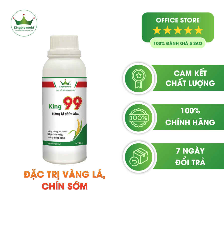 King 99 - Chuyên trị vàng lá chín sớm, giúp cứng cây lá xanh, hạt chắc mẩy vàng sáng bóng