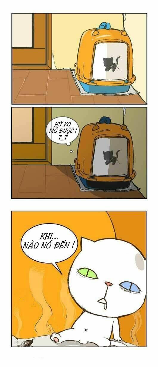 papi nyang chapter 1 13