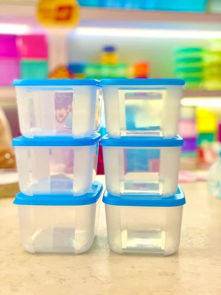 Combo 10 Hộp Trữ Đông Tupperware 650ml - Nắp Xanh - Kín Mùi - Kín Khí - Nhựa Nguyên Sinh