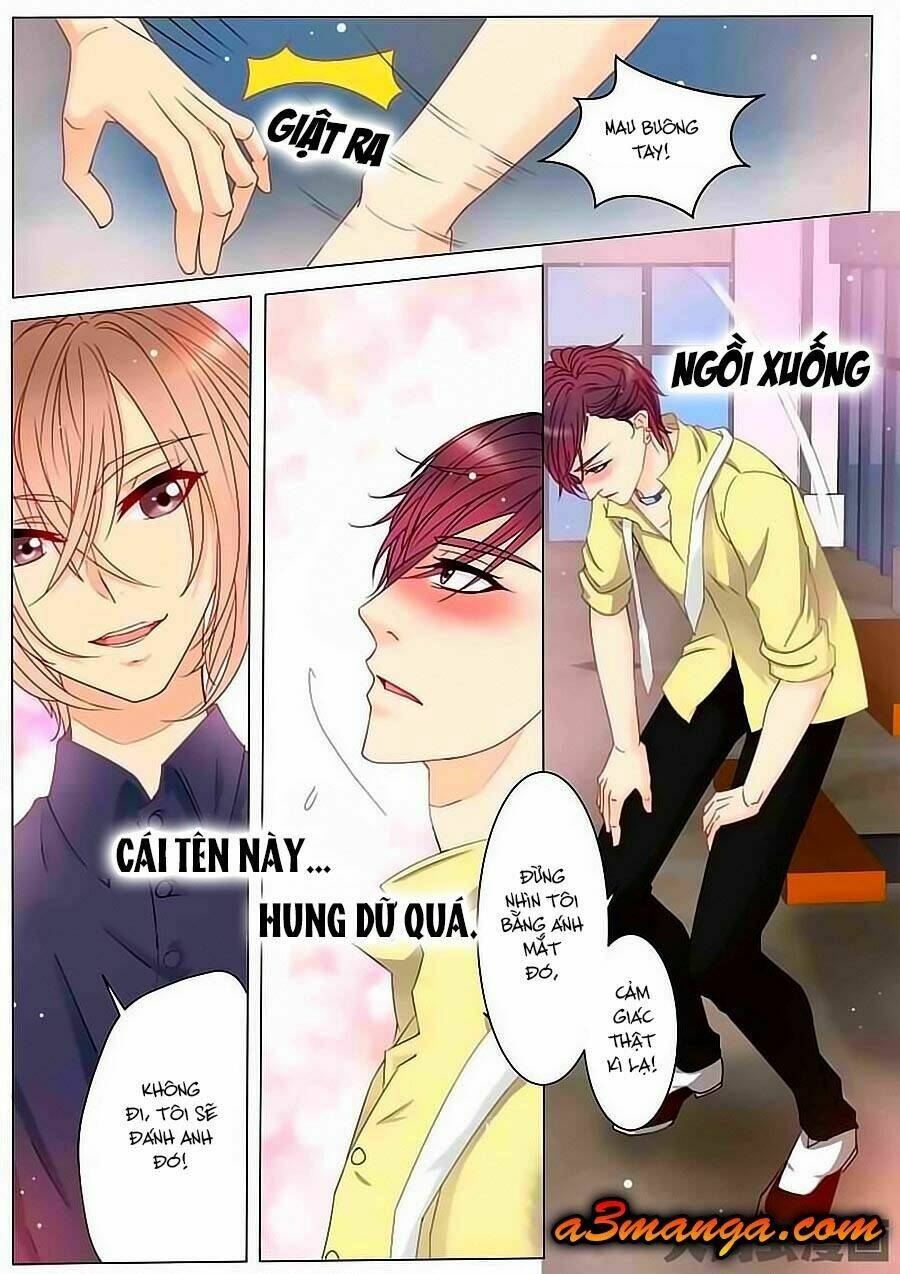 tinh tinh bất thị phát quang thể chapter 1 7