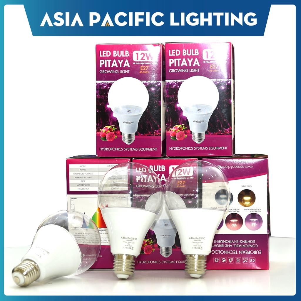 Đèn LED Bulb 12W thanh long