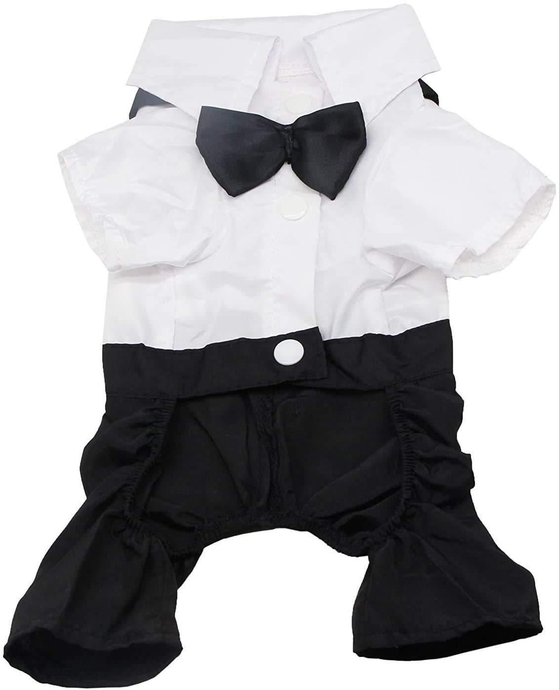 Quần áo chó cưng sành điệu trang phục bay, áo cưới chính thức tuxedo với bộ đồ cà vạt đen
