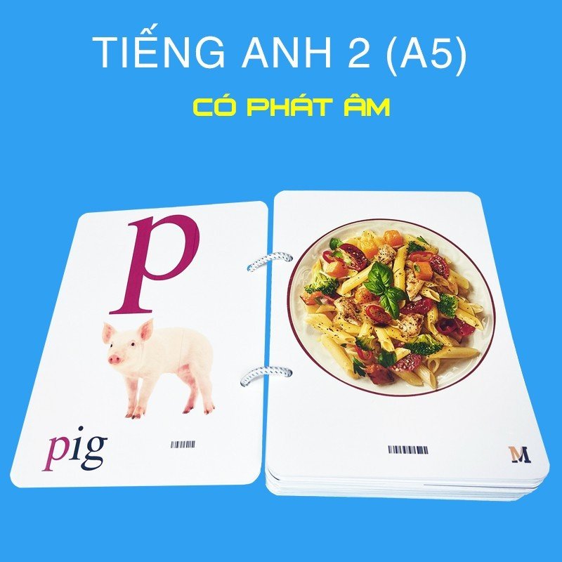 Flashcard tiếng Anh Lớp 2 BGD khổ lớn A5, có phát âm, hình ảnh và màu sắc sinh động