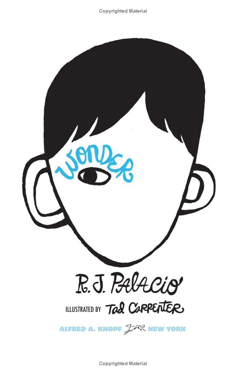Wonder: Illustrated Edition