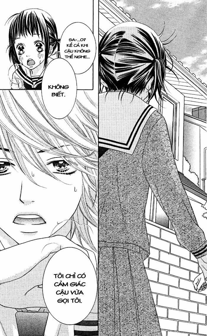 animal jungle chapter 4 33