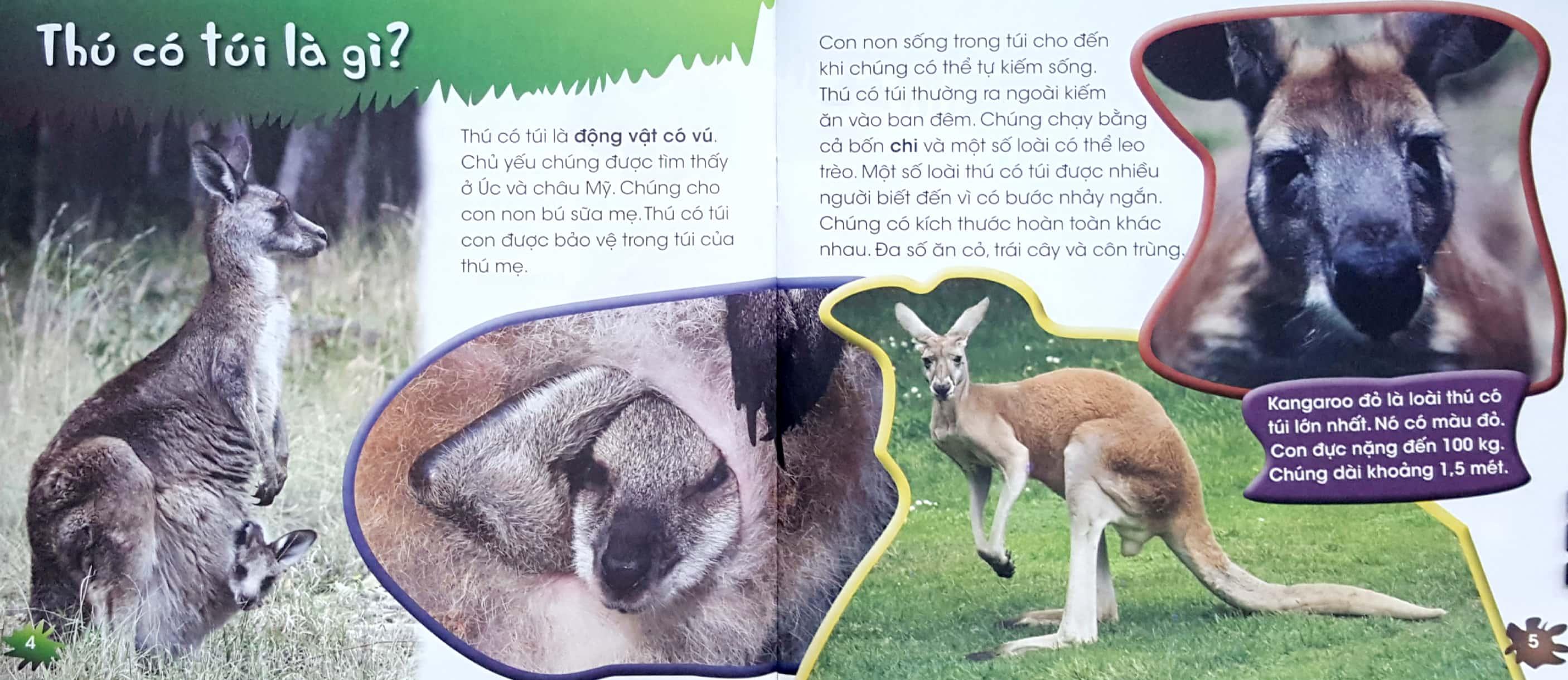 Độc Lạ Phi Thường - Loài Thú Có Túi