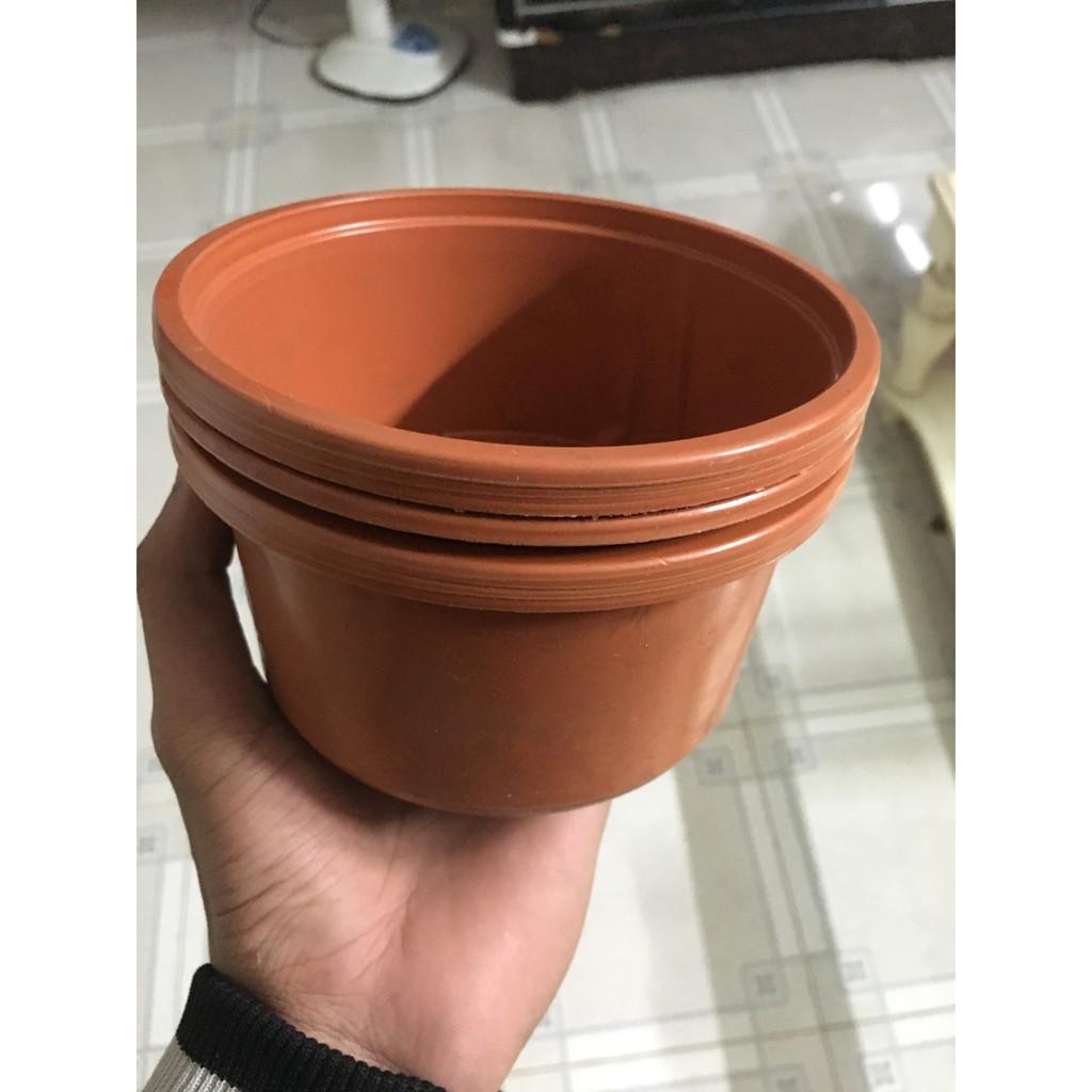Chậu nhựa trồng sen