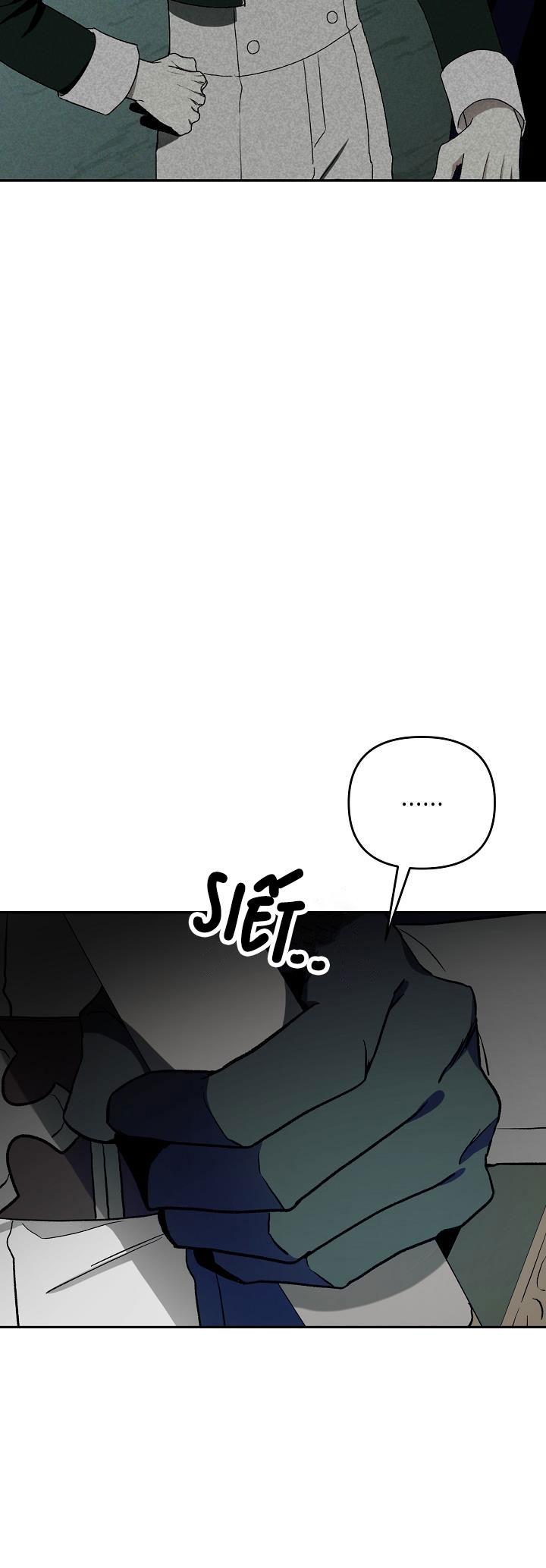 hai đất nước, đất nước của nô lệ chapter 24 41