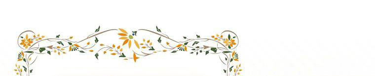 tôi sẽ cố gắng bảo vệ em gái chapter 26 162