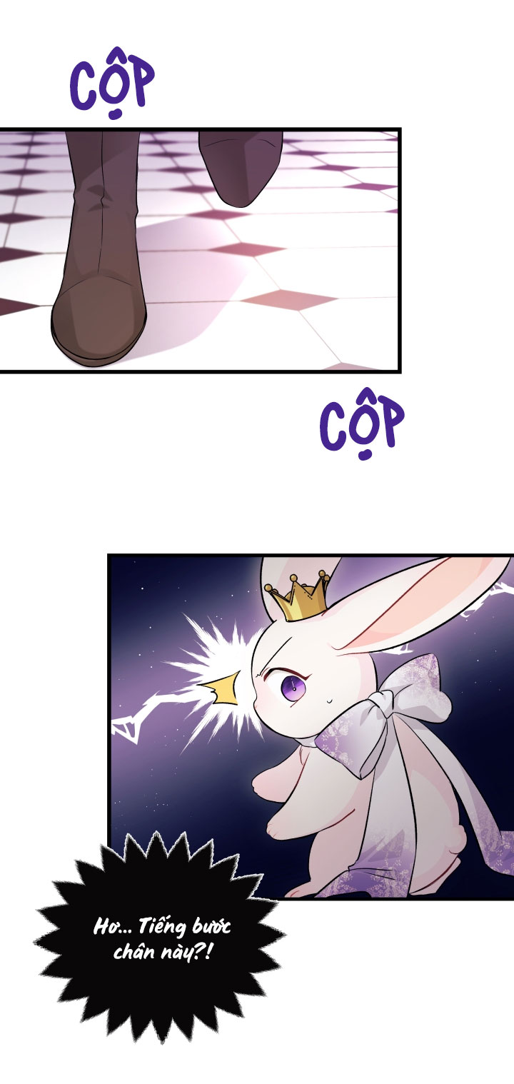 mối liên kết giữa báo đen và bé thỏ chapter 17 18