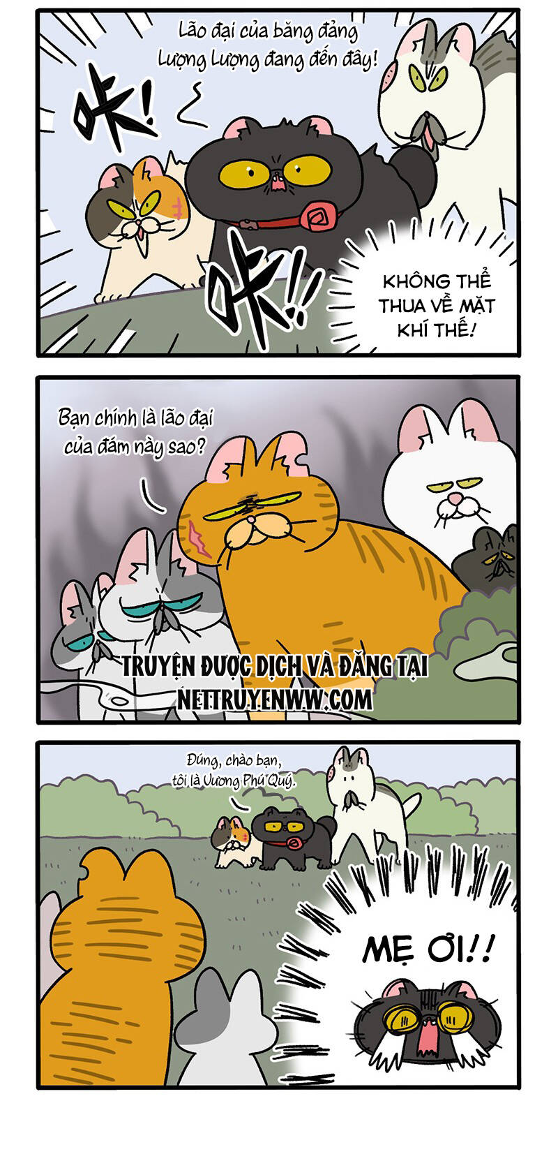 a mãn và mạch trà chapter 43 2