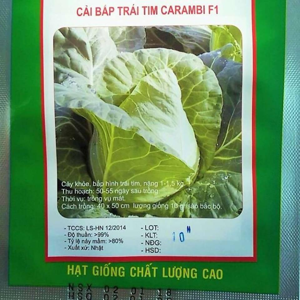 COMBO 2 gói hạt giống cải bắp cải baby xanh