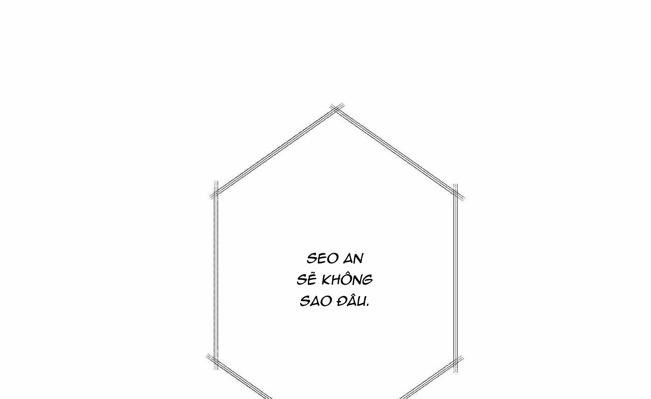 chàng giao pizza và gold palace chapter 33 101