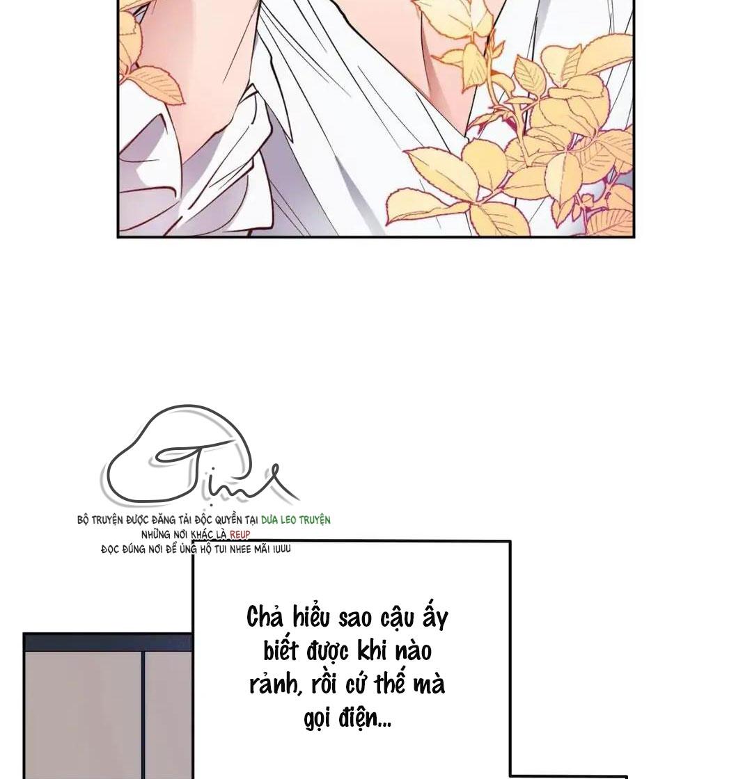 love plan chapter 6 5