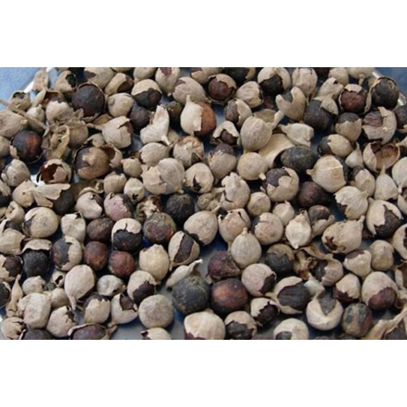 Hạt Màn Kinh Tử Khô kg 681sp